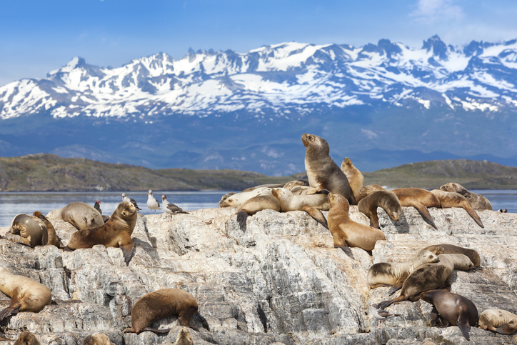 USHUAIA
